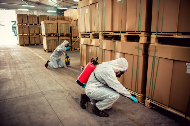 Best Insect Control  in Bolingbrook, IL