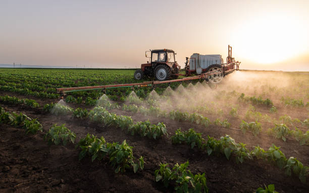 Best Commercial Pest Control Services  in Bolingbrook, IL