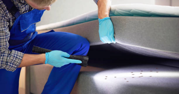 Best Emergency Pest Control  in Bolingbrook, IL