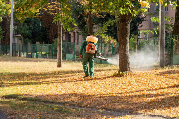 Best Pest Control Near Me in Bolingbrook, IL
