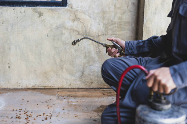  Bolingbrook, IL Pest Control Pros