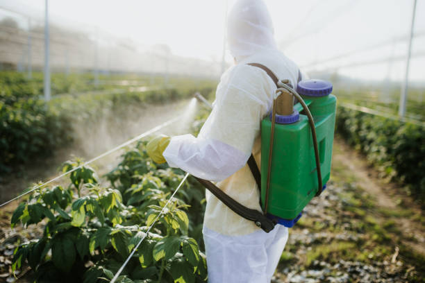 Best Mosquito Control Services  in Bolingbrook, IL